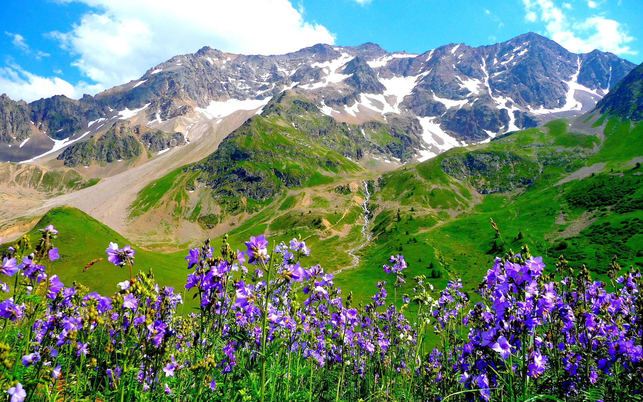 mountains, Alps, Flowers, Landscape Wallpaper