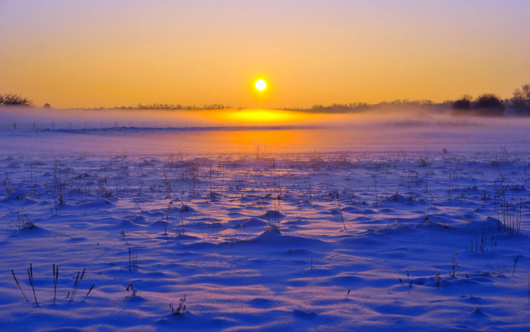 winter, Snow, Horizon, Fog, Field, Sunrise, Sunset HD Wallpaper Desktop Background