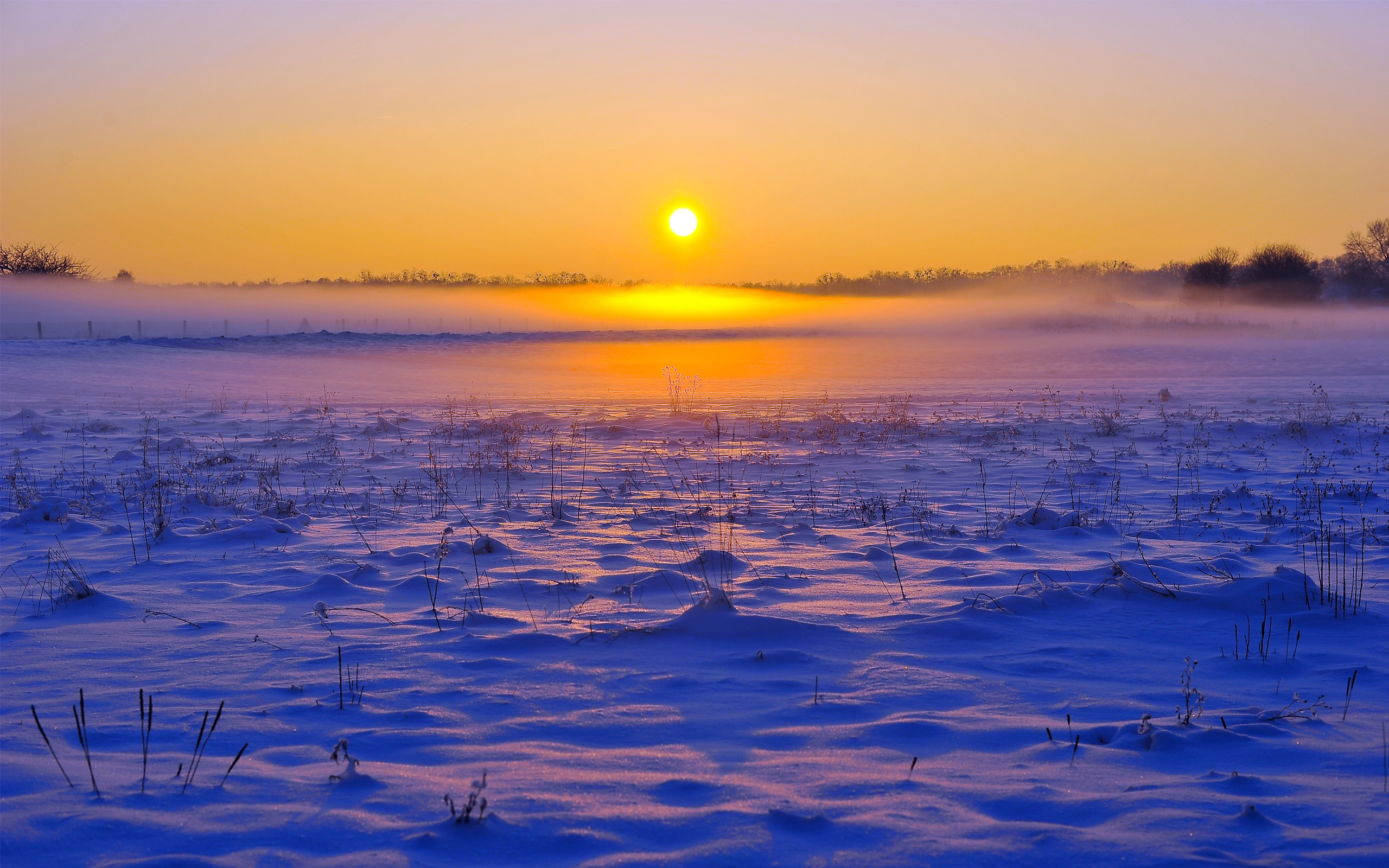 winter, Snow, Horizon, Fog, Field, Sunrise, Sunset Wallpaper