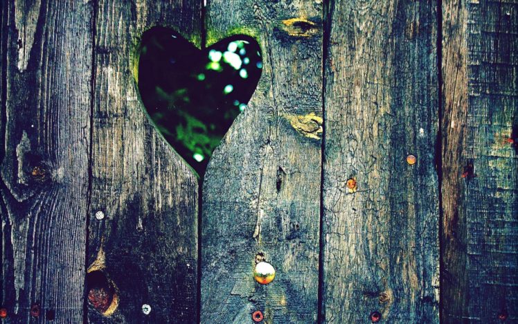 love, Fences, Wood, Holes, Hearts HD Wallpaper Desktop Background