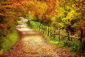 autumn, Path