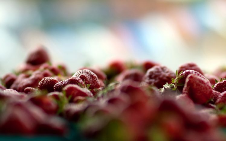 fruits, Strawberries HD Wallpaper Desktop Background