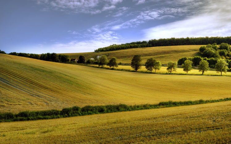 summer, Field, Landscape HD Wallpaper Desktop Background