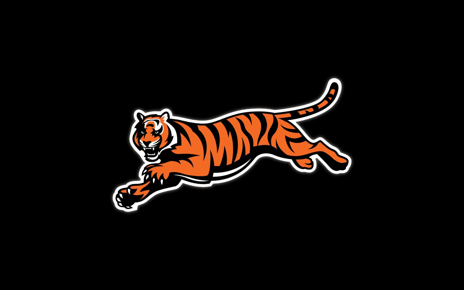 cincinnati, Bengals, Nfl, Football, Gs Wallpaper