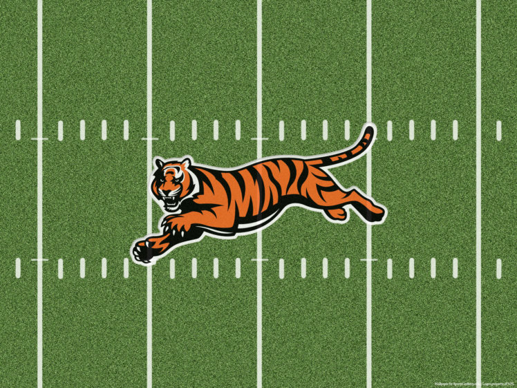 cincinnati, Bengals, Nfl, Football HD Wallpaper Desktop Background