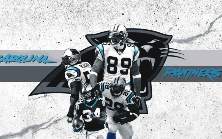 carolina, Panthers, Nfl, Football HD Wallpaper Desktop Background