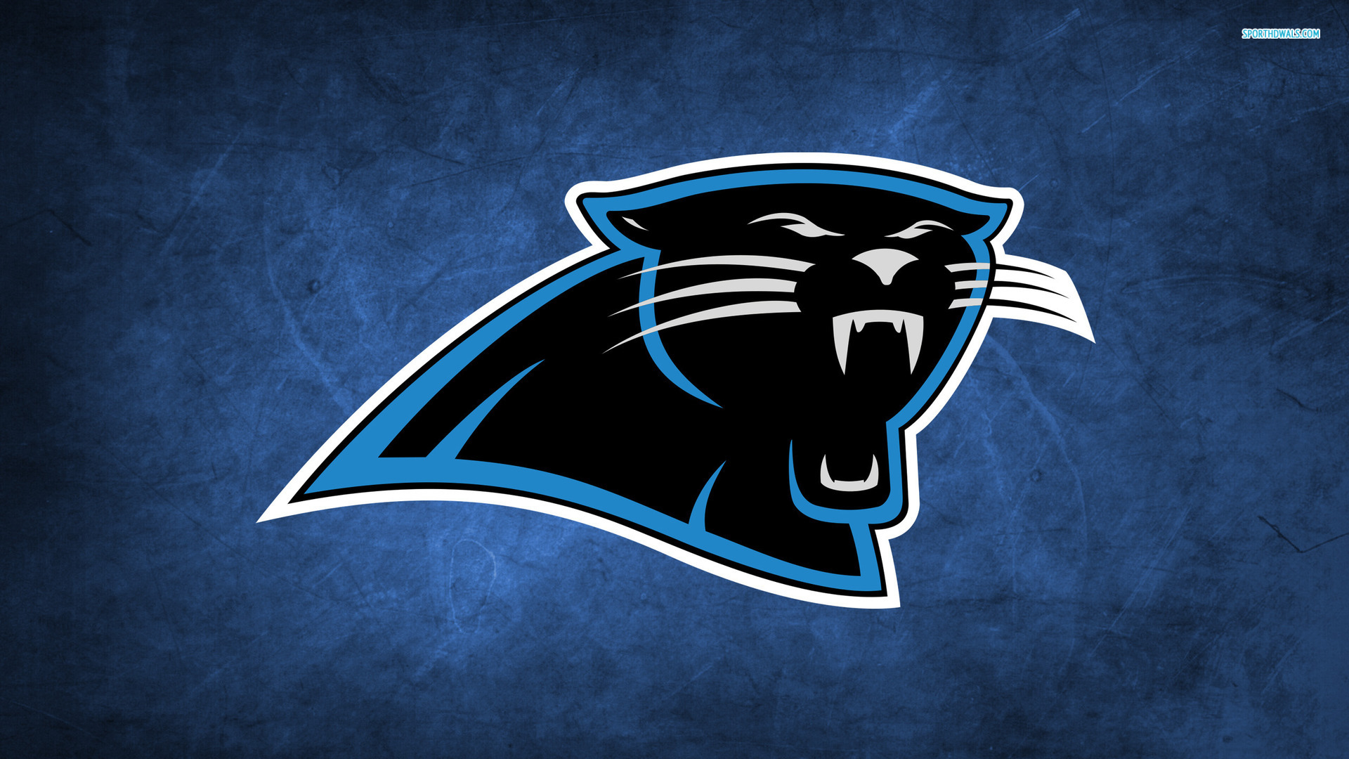carolina, Panthers, Nfl, Football Wallpaper