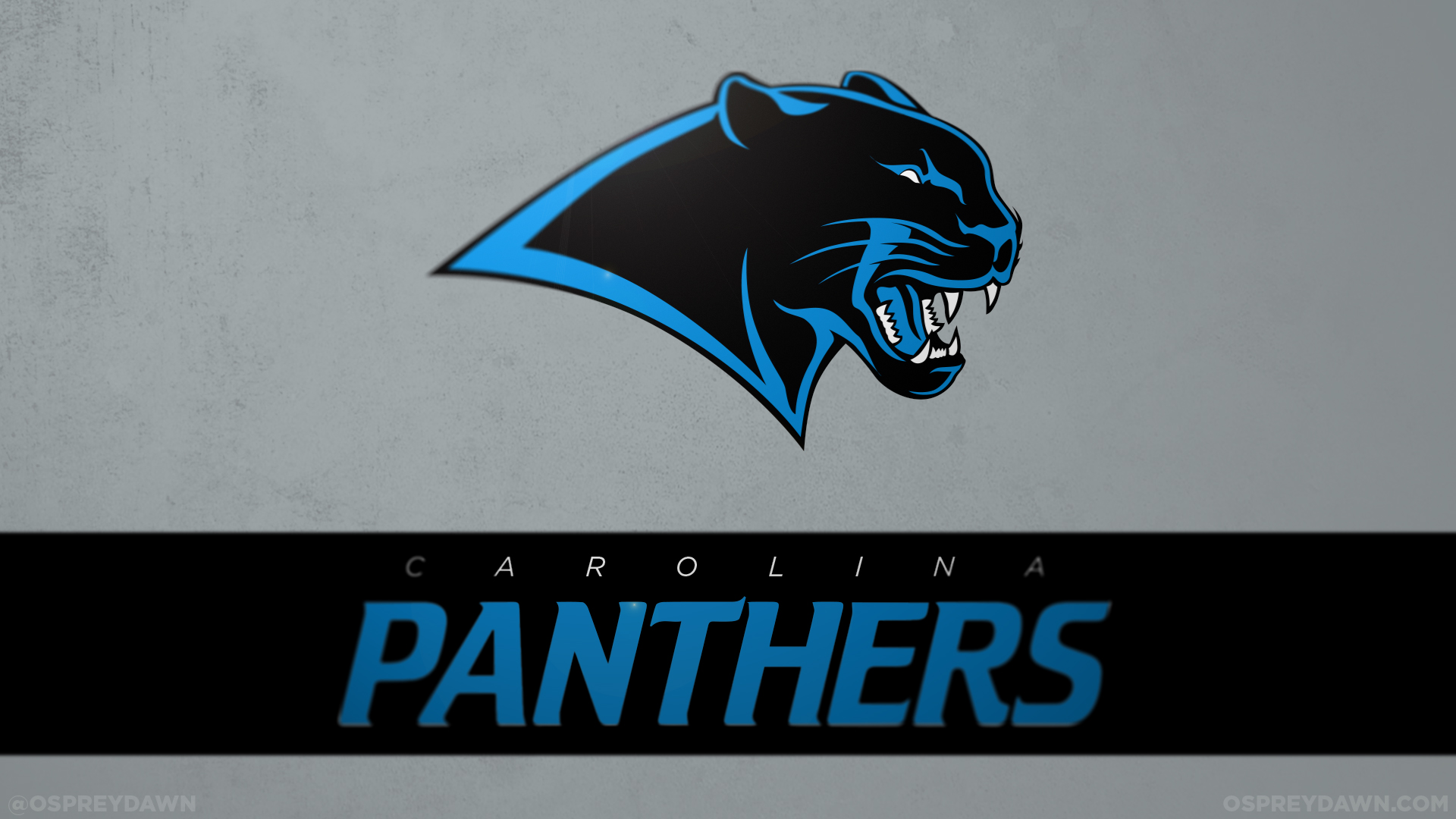 carolina, Panthers, Nfl, Football, Rk Wallpaper