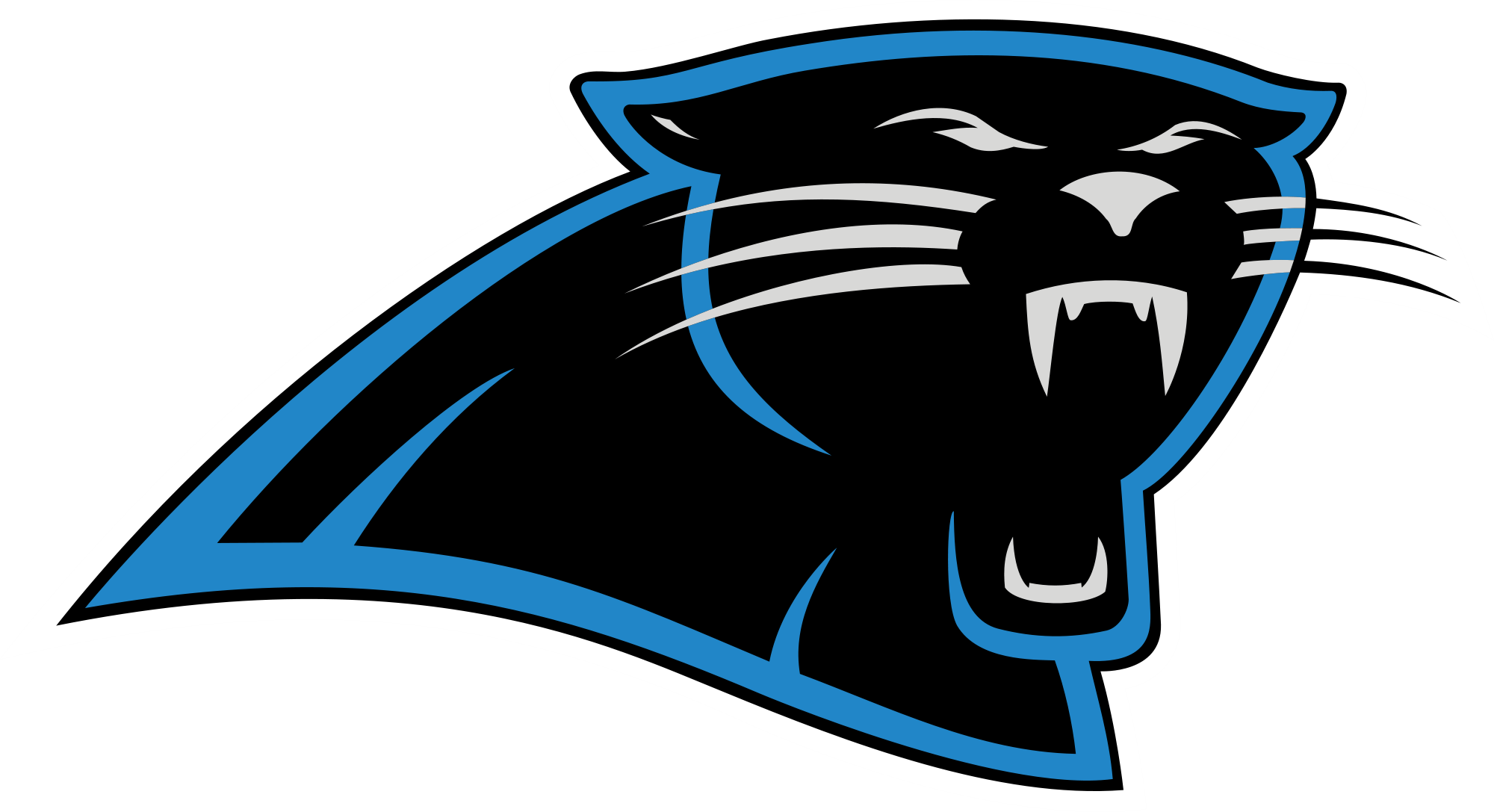 carolina, Panthers, Nfl, Football Wallpaper