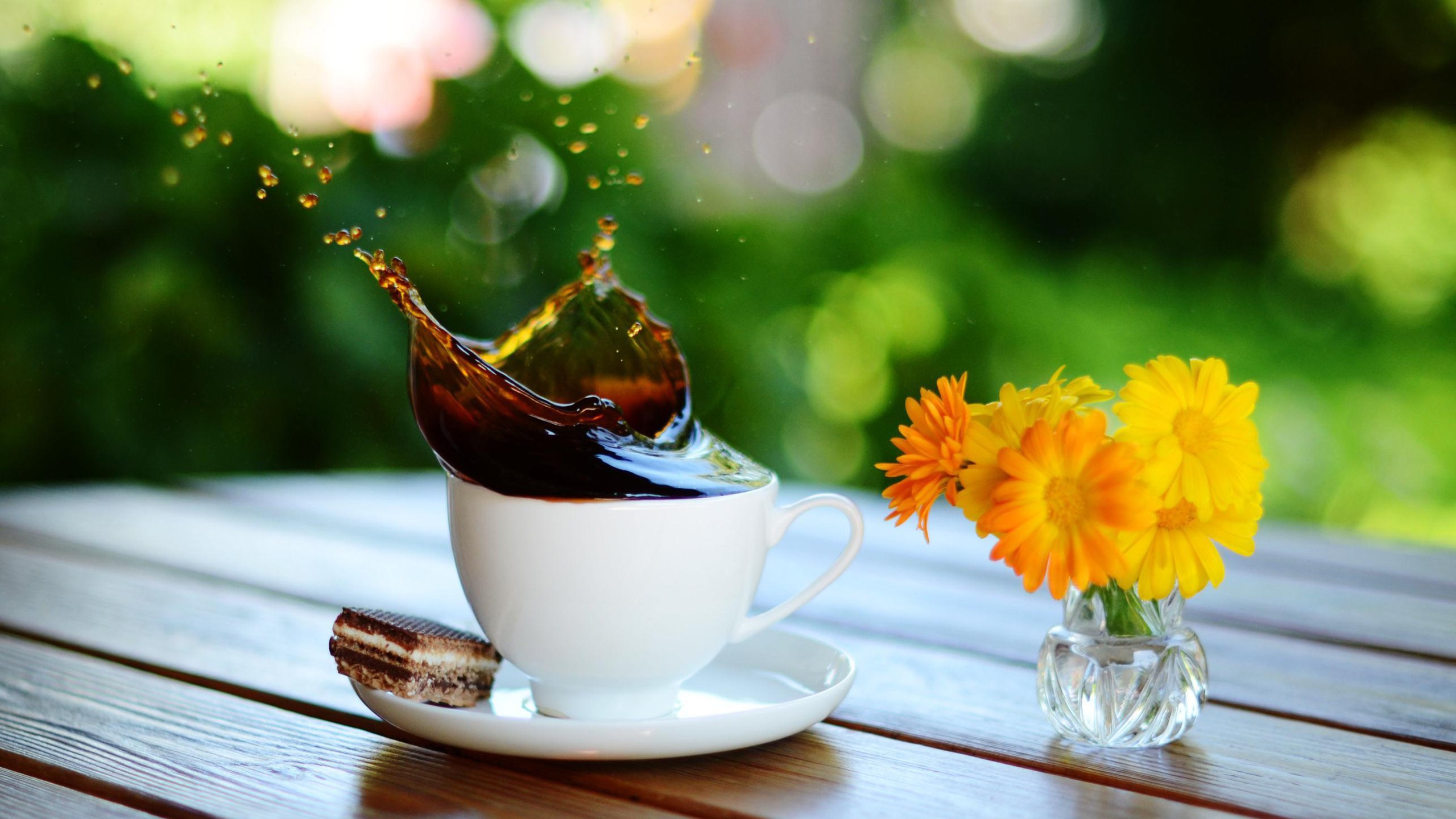 flowers, Coffee, Cookies, Bokeh, Coffee, Cups, Morning