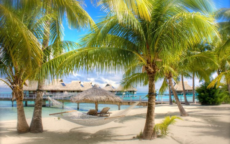 sand, Tropical, Holidays, Hammock, Palm, Trees, Swimming, Pools HD Wallpaper Desktop Background