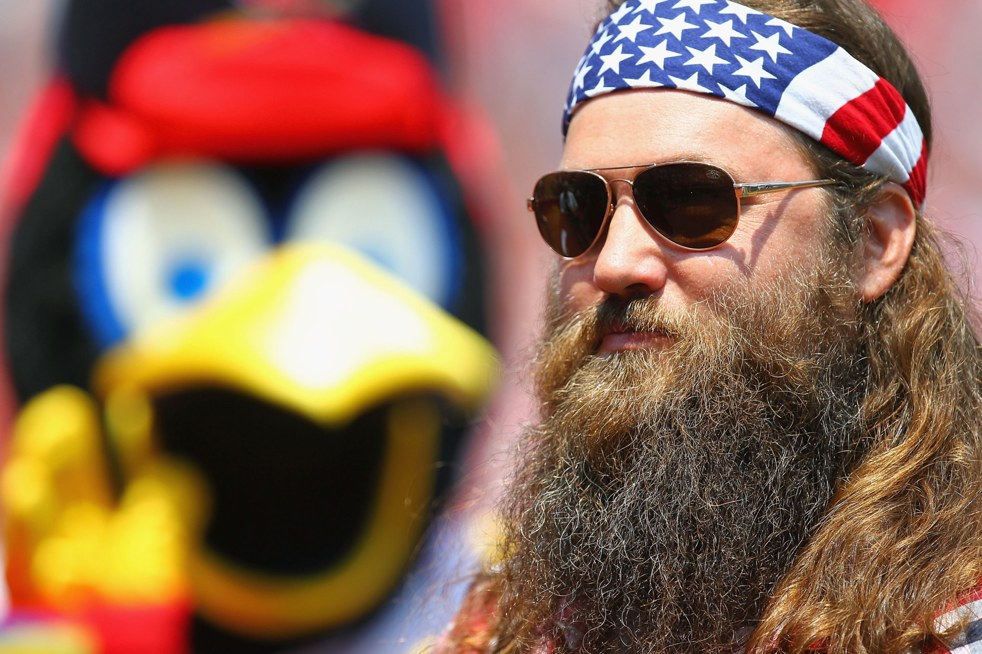 duck, Dynasty, Hs Wallpaper