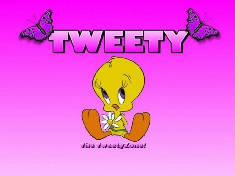 tweety, Looney, Tunes, Ge HD Wallpaper Desktop Background