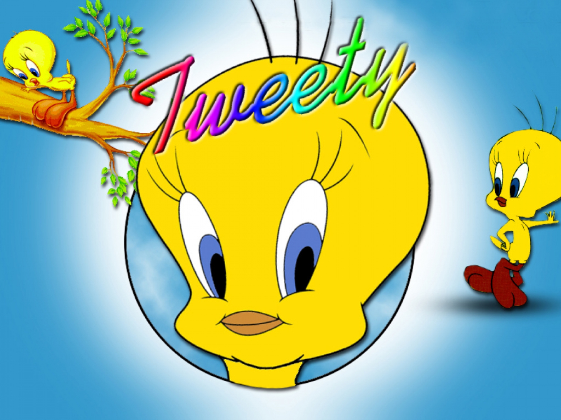 tweety, Looney, Tunes Wallpaper
