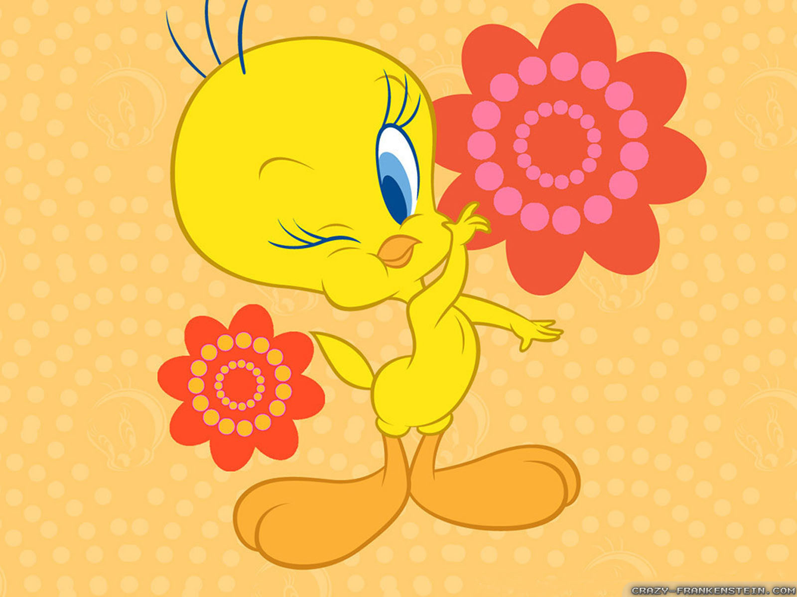 tweety, Looney, Tunes, Ff Wallpaper