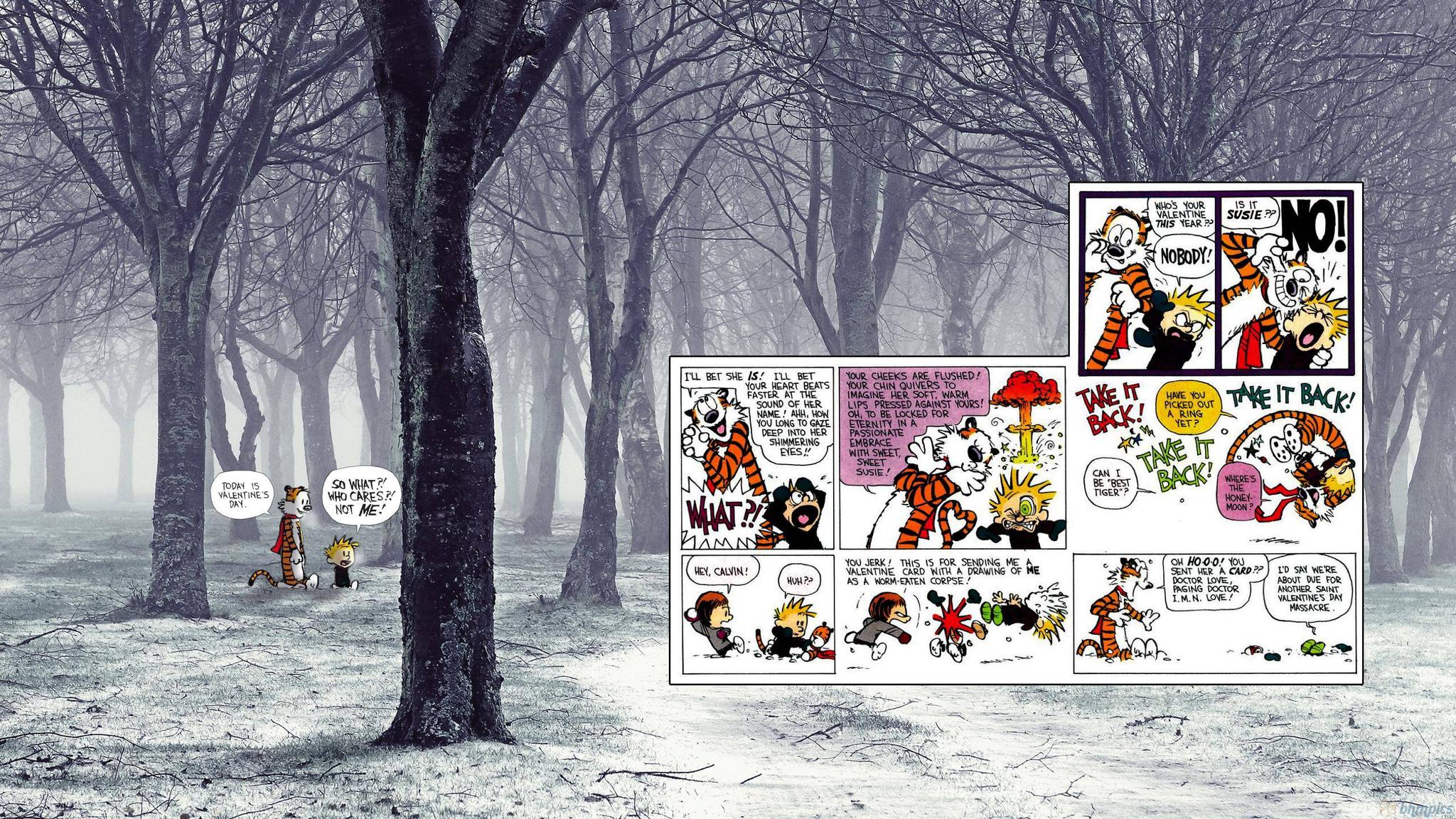 calvin, And, Hobbes, Comics, Valentine, Valentines, Forest Wallpapers HD / ...