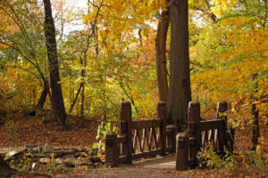 autumn, Park, Bridge, Landscape, Nature, Wood, Bridge