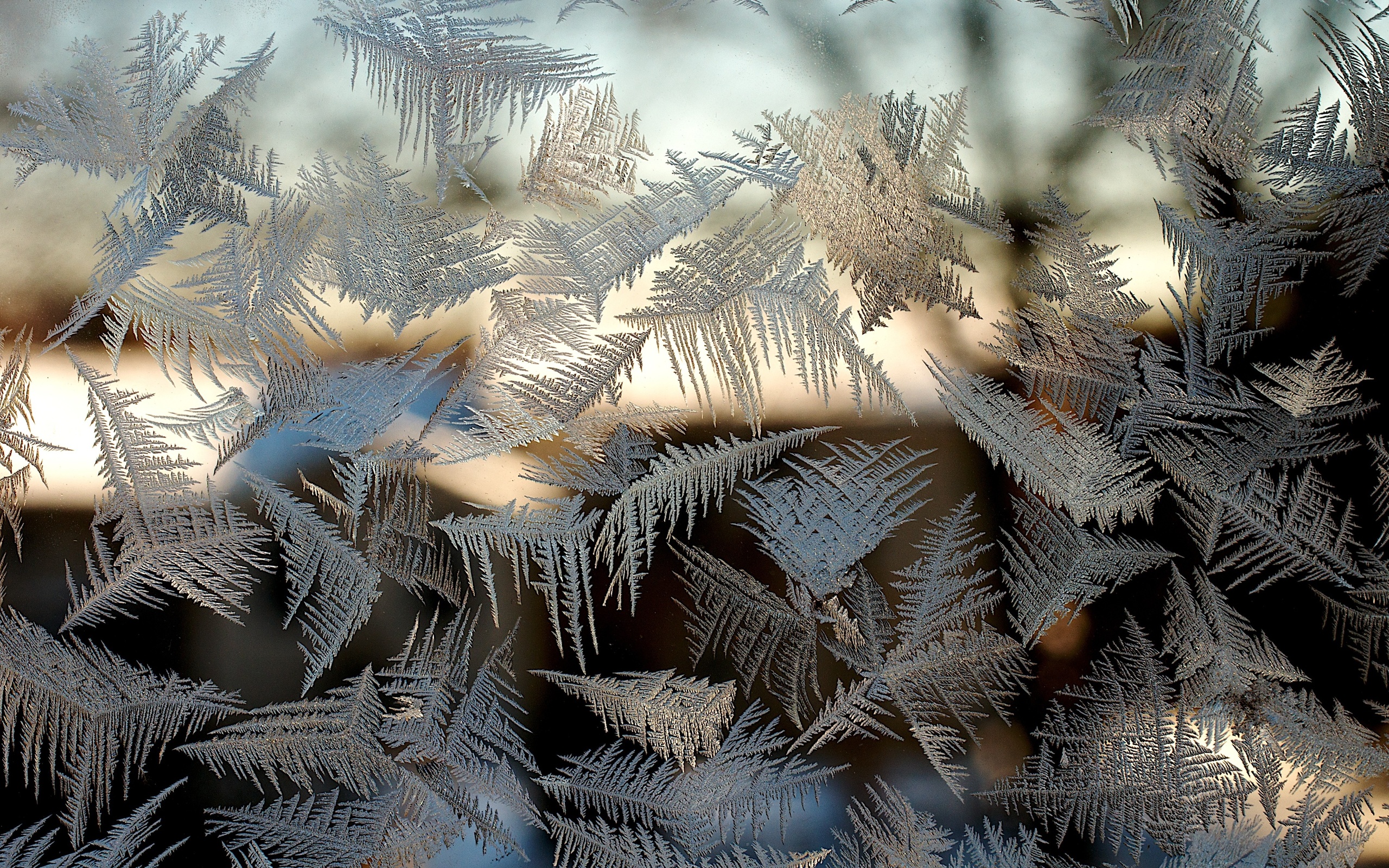frost, On, The, Glass, Patterns, Window, Bokeh, Winter Wallpaper