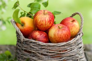 leaves, Apples, Basket, Fall, Fruit