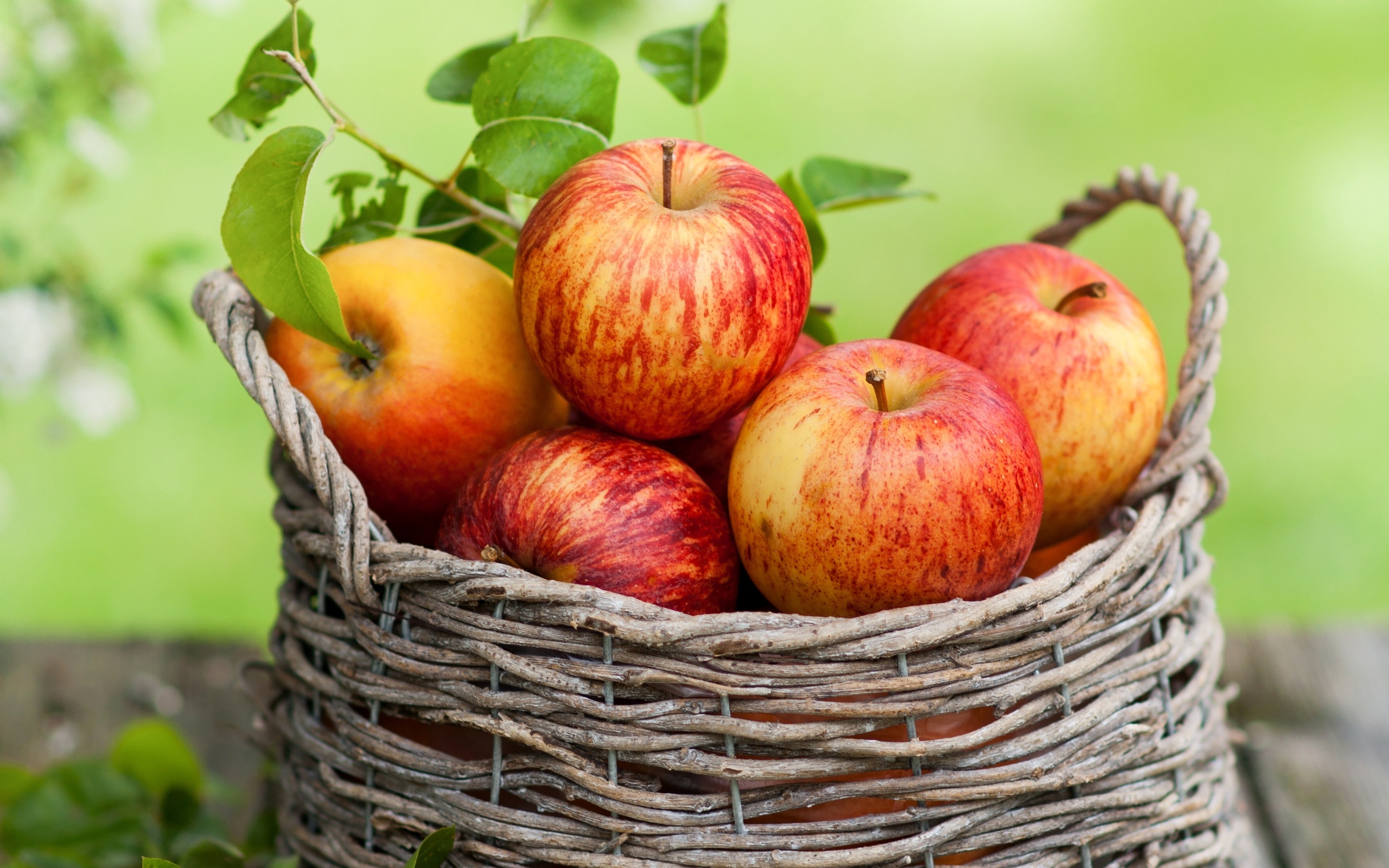 leaves, Apples, Basket, Fall, Fruit Wallpaper