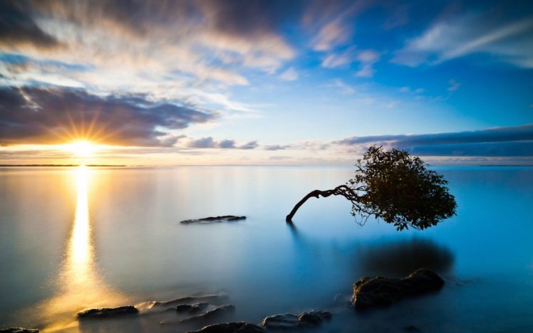 sunset, Trees, Seas, Seascapes, Skyscapes HD Wallpaper Desktop Background
