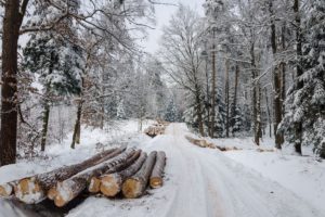 winter, Road, Forest, Timber, Landscape