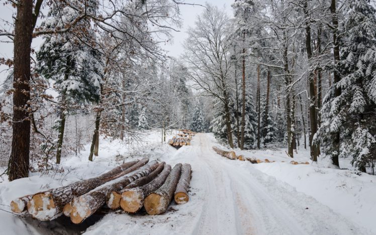 winter, Road, Forest, Timber, Landscape HD Wallpaper Desktop Background