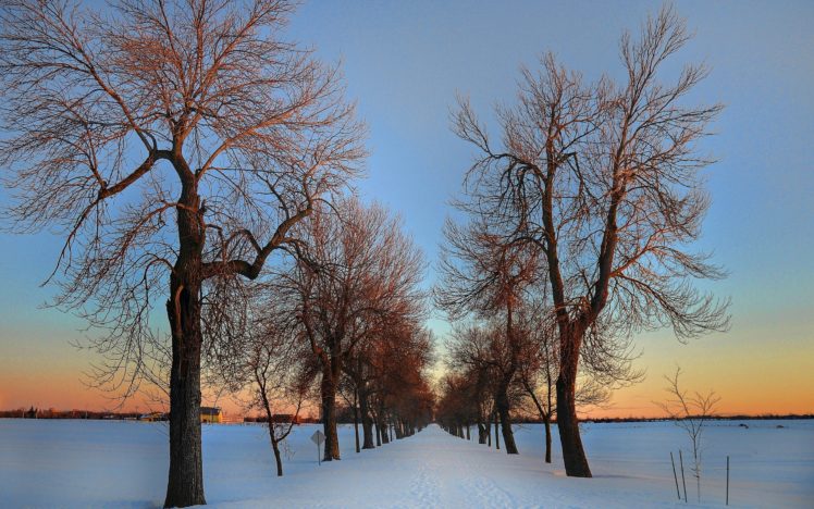 winter, Road, Trees, Houses, Landscape HD Wallpaper Desktop Background