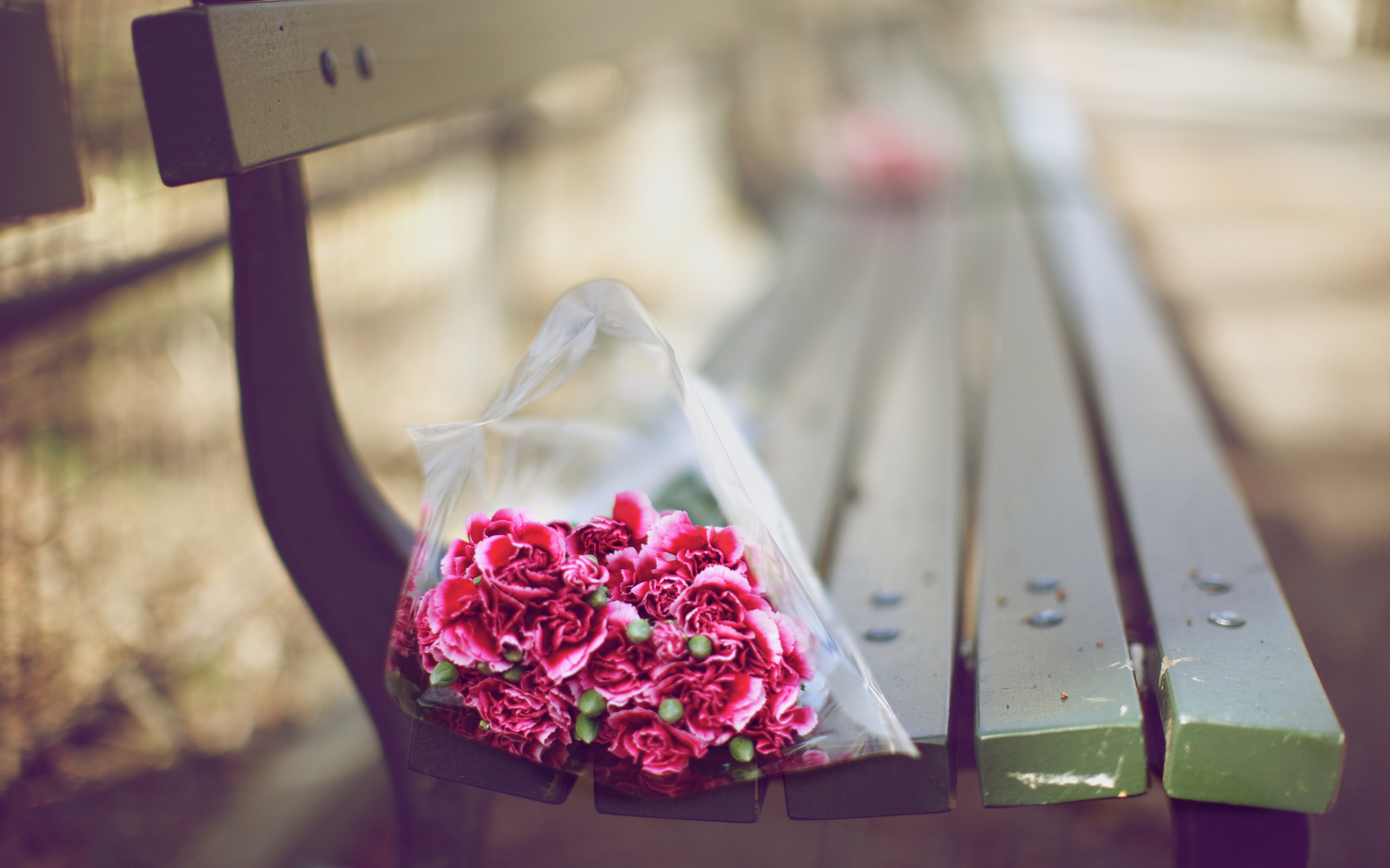 carnations, Bouquet, On, A, Bench Wallpaper