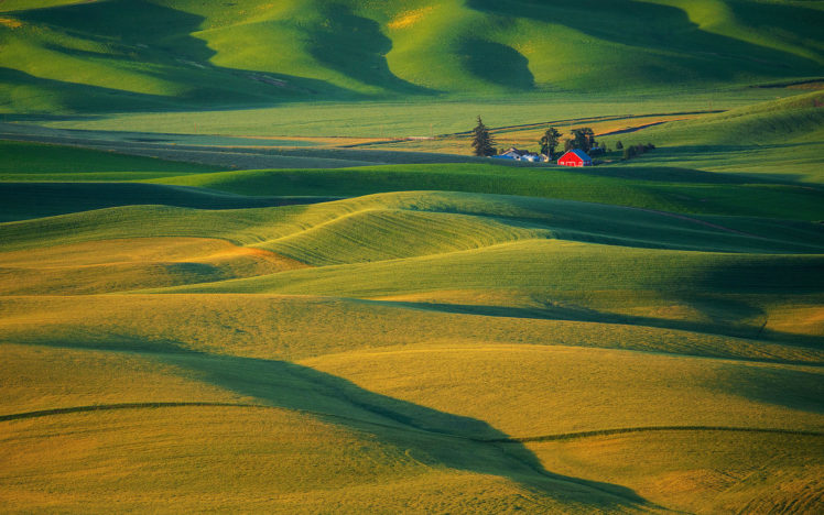 fields, The, Hills, The, View, From, The, Top, Landscape HD Wallpaper Desktop Background
