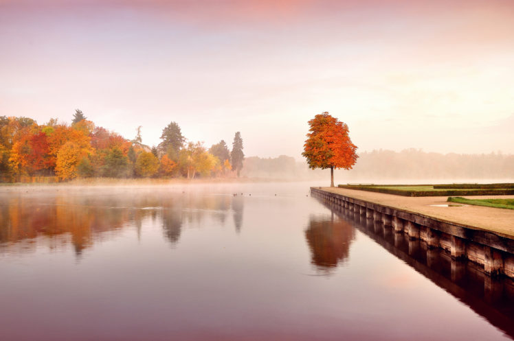trees, Autumn, Nature, Landscape HD Wallpaper Desktop Background