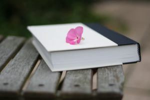 bench, Books, Pink, Flowers