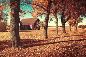 house, Autumn, Orange, Leaves, Trees