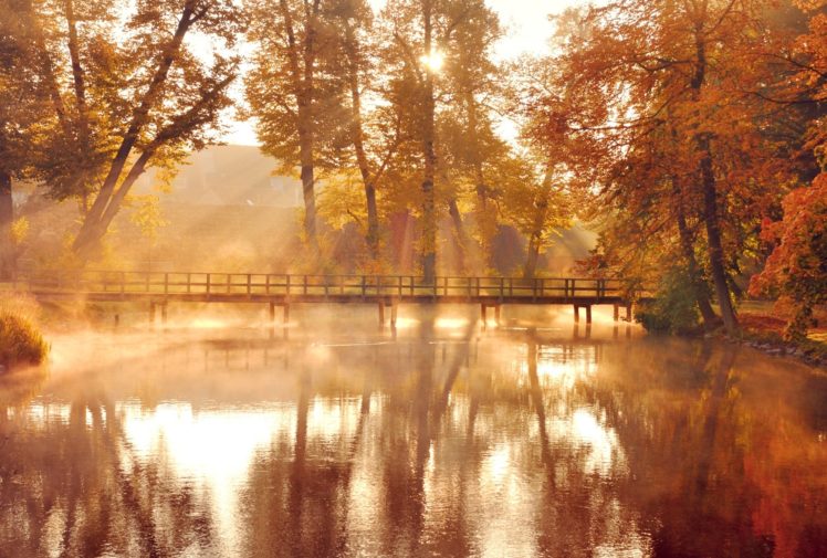 nature, Trees, Leaves, Autumn, Reflection HD Wallpaper Desktop Background