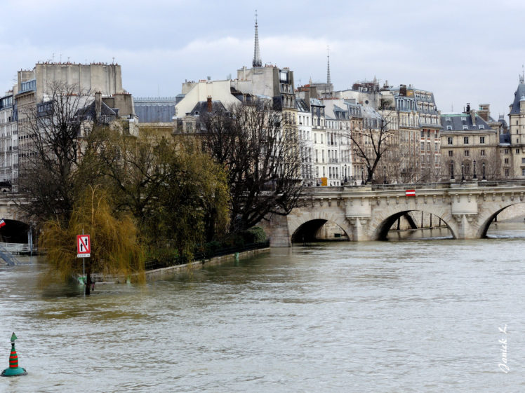 paris, River, Bridge, Trees, Houses HD Wallpaper Desktop Background