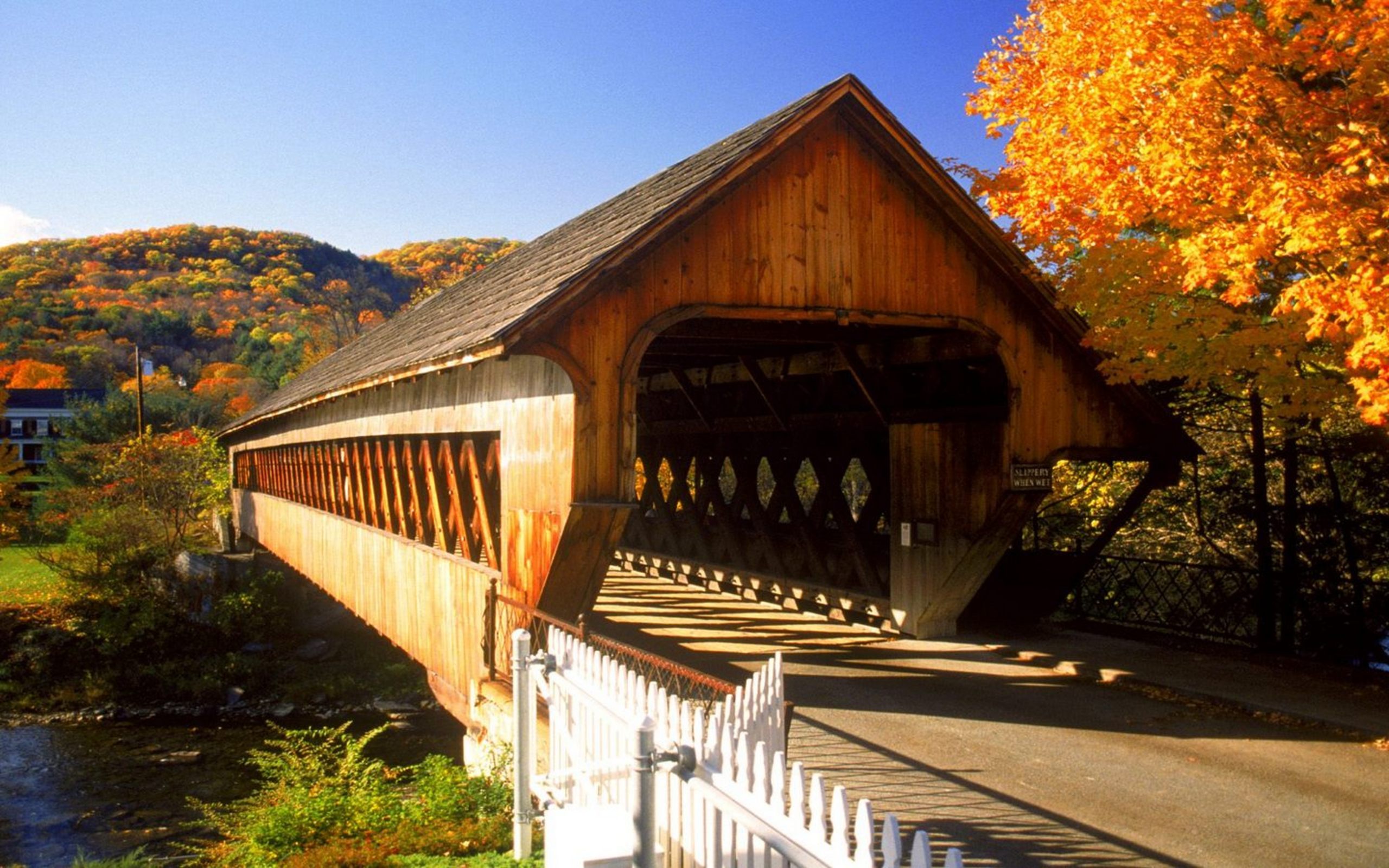 nature, Autumn,  season , Bridges Wallpaper