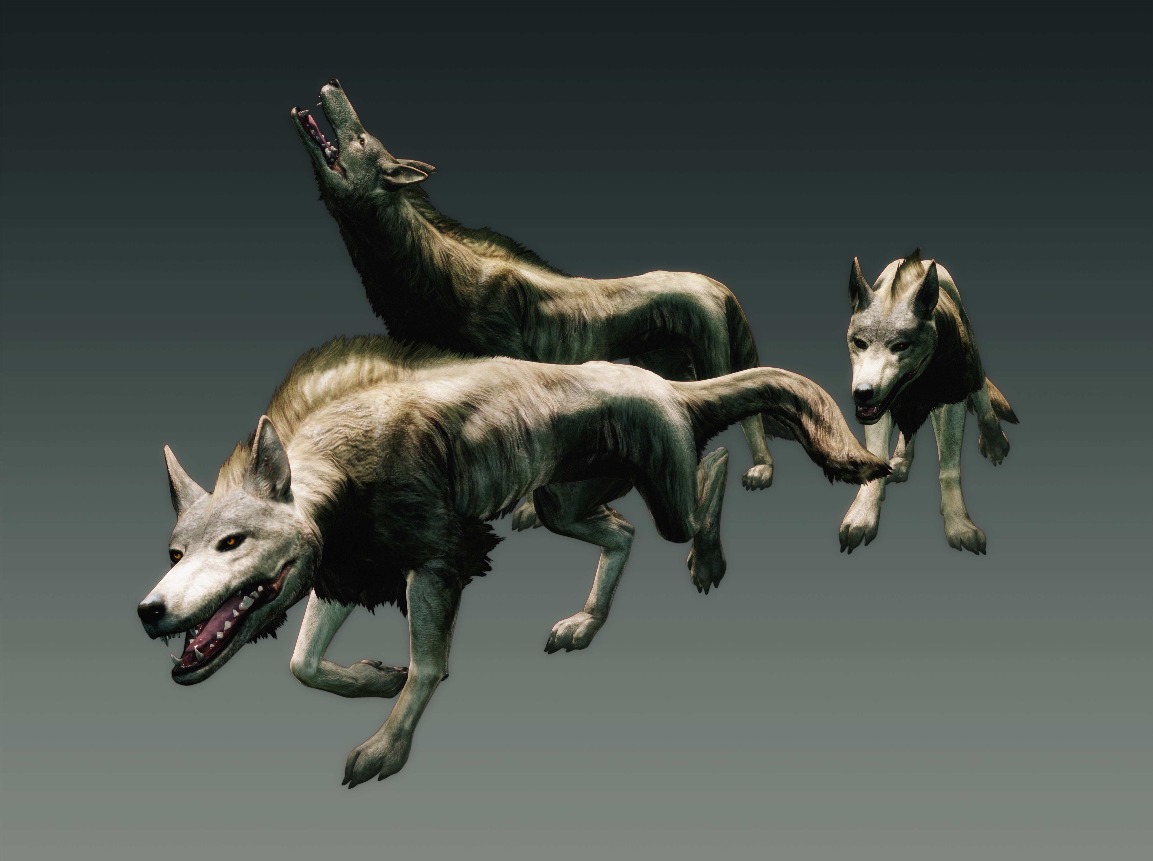 dragons, Dogma, Fantasy, Game, Wolf Wallpaper