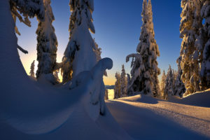 winter, Snow, Trees, Sunset, Landscape