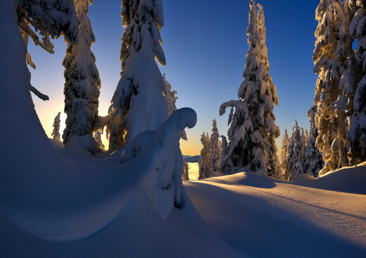 winter, Snow, Trees, Sunset, Landscape HD Wallpaper Desktop Background