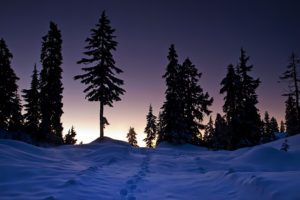 winter, Sunset, Trees, Snow, Tracks, Landscape