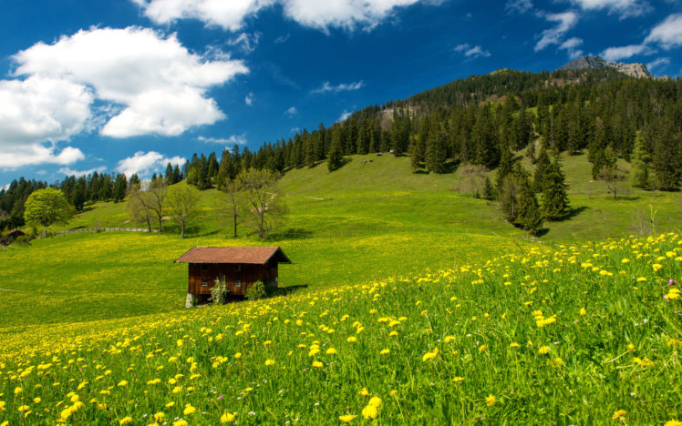 bavarian, Alps, Green, Field, Trees, Grass HD Wallpaper Desktop Background