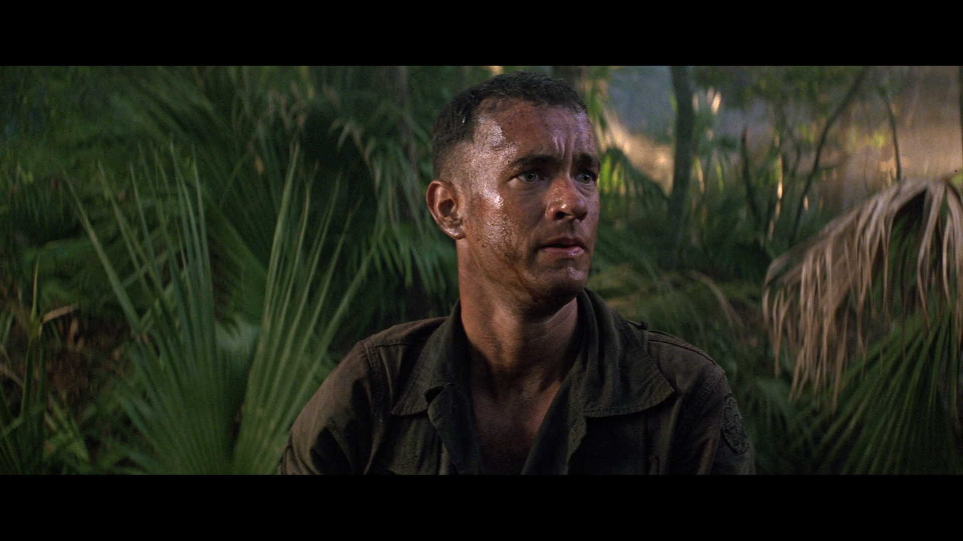 forrest, Gump, Comedy, Drama, Tom, Hanks, Actor Wallpaper