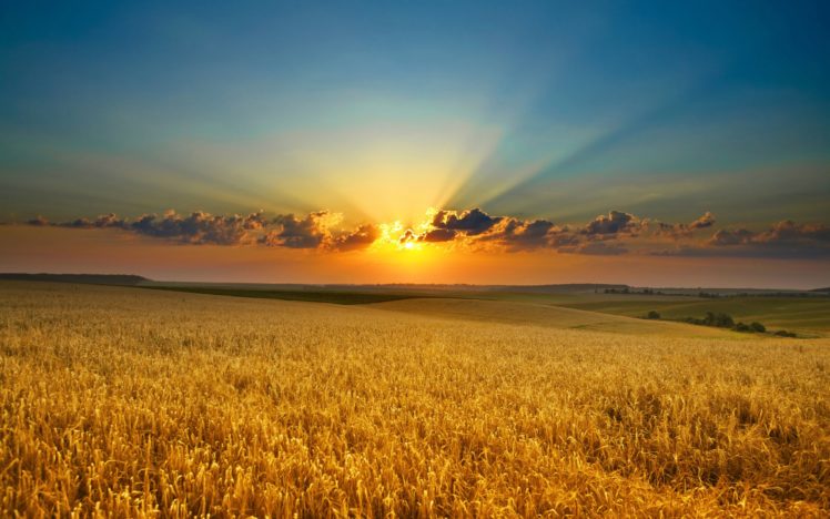 sunset, Clouds, Landscapes, Nature, Fields, Sunlight HD Wallpaper Desktop Background