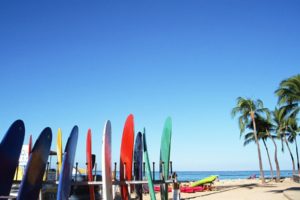 beach, Surfboards, Palm, Trees