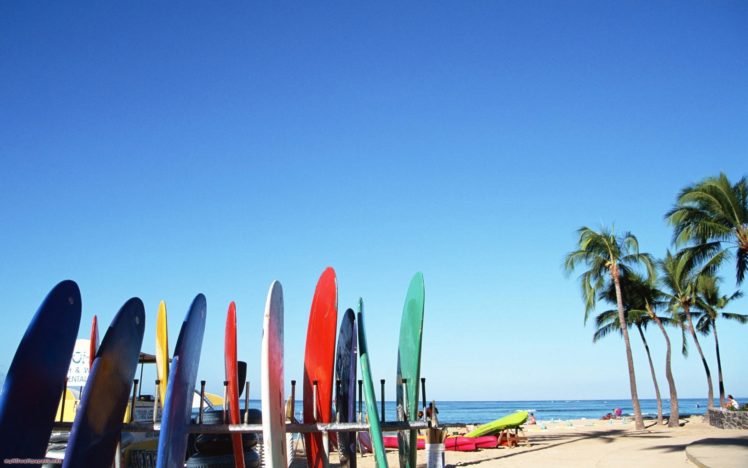 beach, Surfboards, Palm, Trees HD Wallpaper Desktop Background