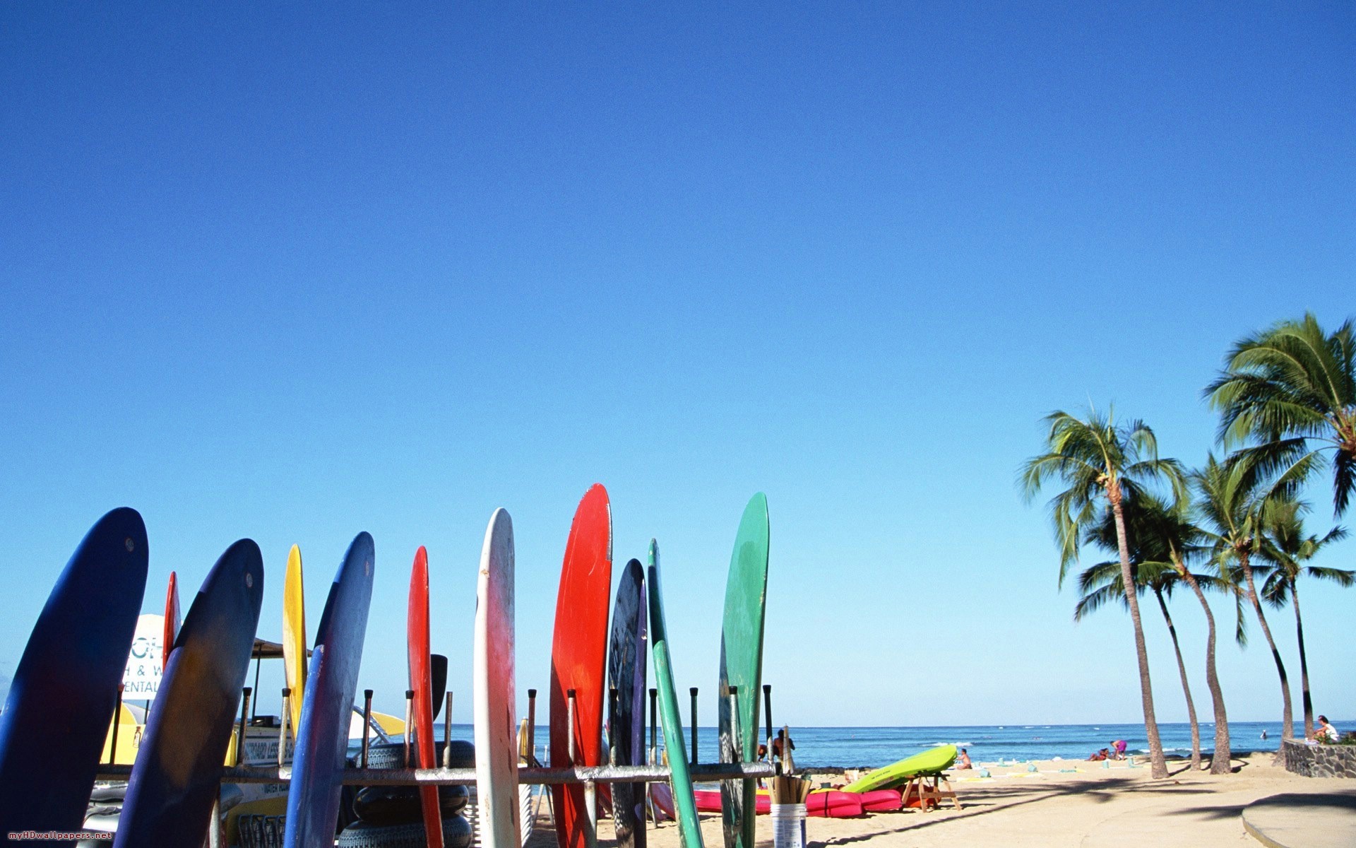 beach, Surfboards, Palm, Trees Wallpaper
