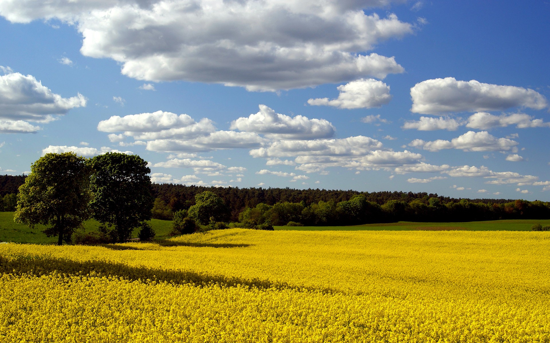 clouds, Landscapes, Fields, Blue, Skies Wallpaper