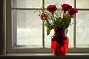 roses, Vase, Window, Flowers