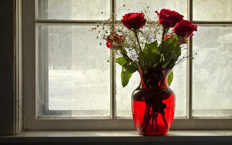 roses, Vase, Window, Flowers HD Wallpaper Desktop Background