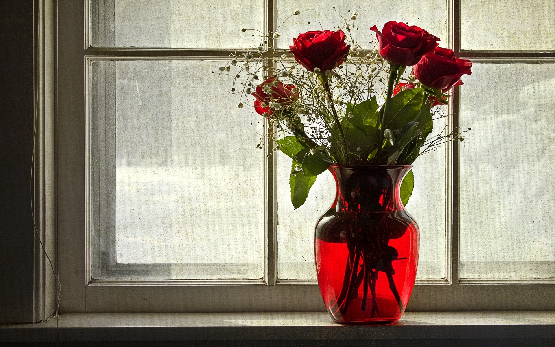 roses, Vase, Window, Flowers Wallpaper